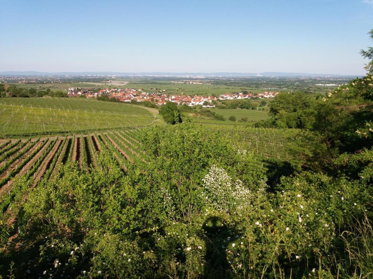 Ferienwohnung Lingenfelder Bad Dürkheim Εξωτερικό φωτογραφία